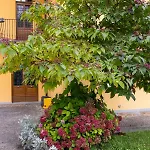 La Corleta Di Sora By Interhome